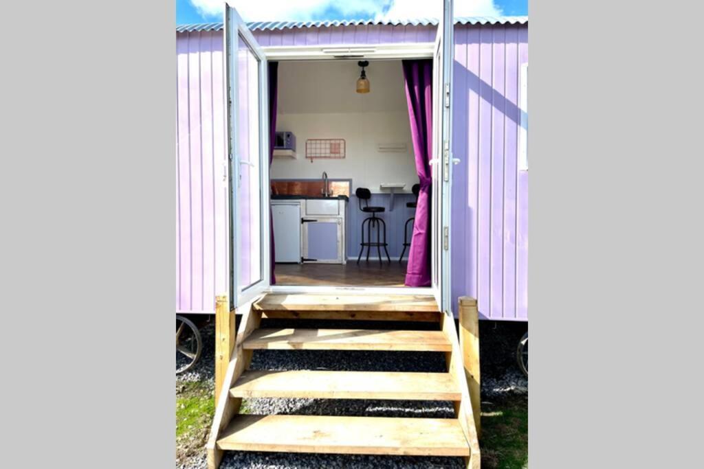 Lilac Tree Hut Tenby Kültér fotó