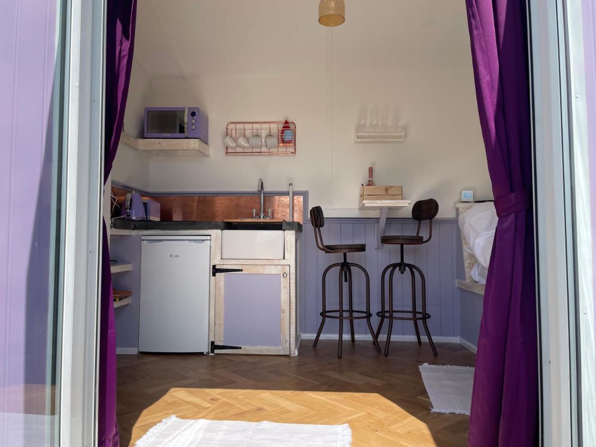 Lilac Tree Hut Tenby Kültér fotó